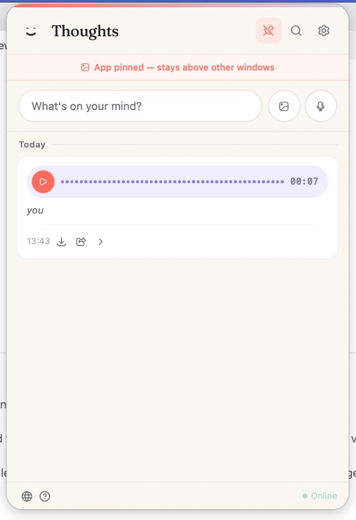 Pinned Thoughts window with an audio note and transcription